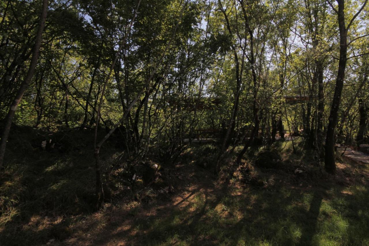 Vukova Dolina Apartments ツェティニェ エクステリア 写真
